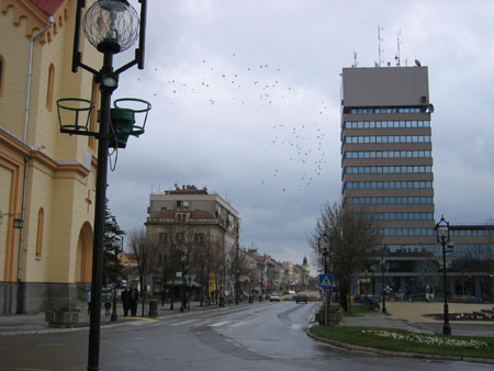 towards pedestrian zone, nice birds!